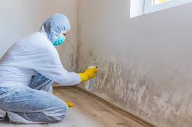 China Spring, TX Mold Removal Company